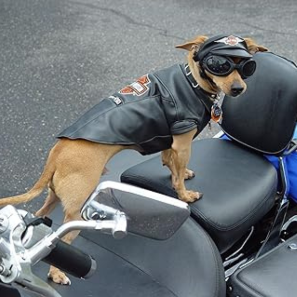 Skidmore’s Biker Edition Leather Cream – Natural Cleaner & Conditioner